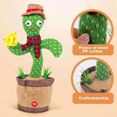 Dancing Cactus